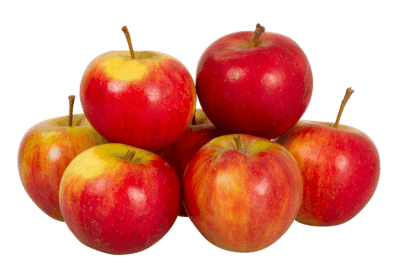 Äpfel Elstar, Öhringen, Hohenlohe, 2 kg