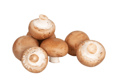 Champignons, Gärtnerei Müller, Wimsheim, 250g