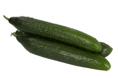Gurke, Gärtnerei Kiemle, Bietigheim, Stück