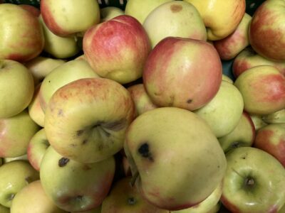Äpfel Elstar/Topaz/Gala, Öhringen, Hohenlohe, 2. Wahl, 2 kg