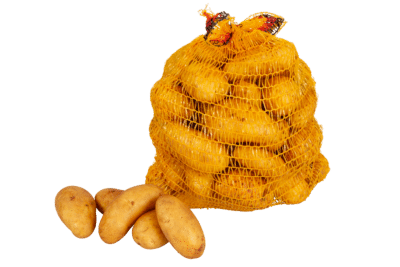 NEUE ERNTE Lauffener Salatkartoffeln, Annabelle, 2,5 kg
