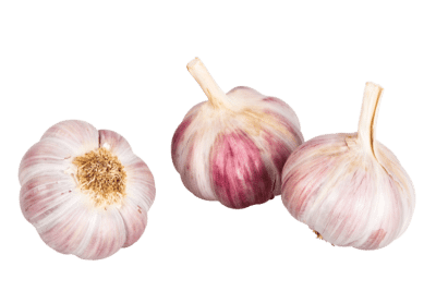Frischer Knoblauch, Deutschland, Stück