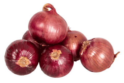 Rote Zwiebeln, Lauffen am Neckar, 500g