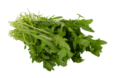 Rucola, Gärtnerei Kiemle, Bietigheim, Bund