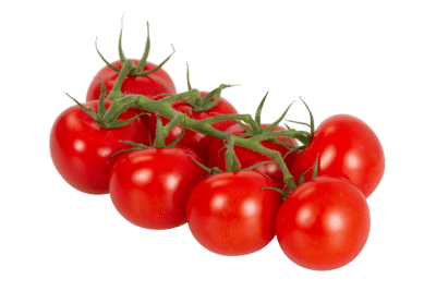 Weinbergtomaten liefern in Stuttgart