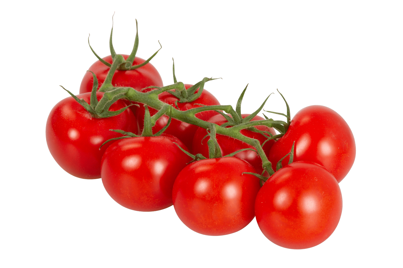Weinbergtomaten liefern in Stuttgart