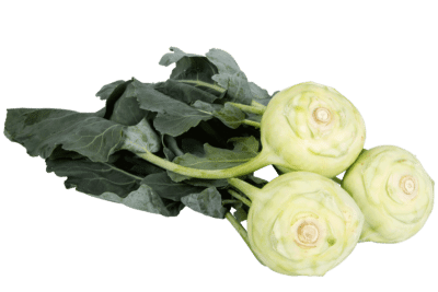 Kohlrabi vom Bauernhof Beckbissinger, Gemmrigheim, Stück