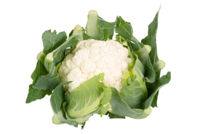 Blumenkohl, Gärtnerei Sohn, Esslingen am Neckar, Stück