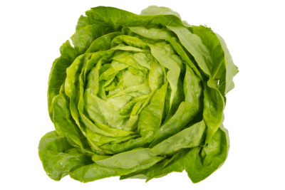 Kopfsalat, Binsachhof, Filderstadt