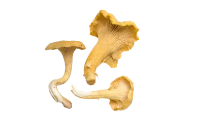 Pfifferlinge, ungewaschen, Bayern, 150 g